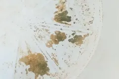 plomeria-min